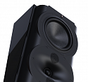 Настенная акустика Perlisten Audio R4s Black  (пара)