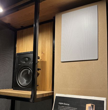 Встраиваемая в стены акустика Earthquake Sound EWS-800 (пара) SALE из ШОУ-РУМА