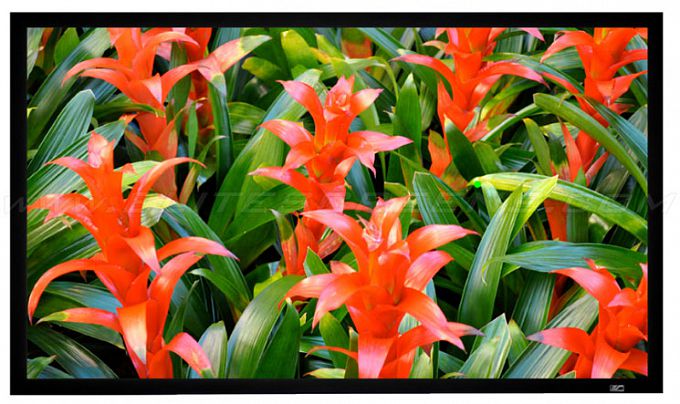 Экран на раме Elite Screens ezFrame R110WH1 137*244 CineWhite