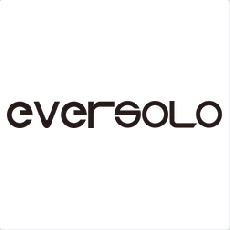 EverSolo (Китай)