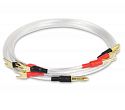 Пара акустических кабелей Aperion Audio Super Tweeters Silver Cable 0.61 м
