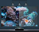 ALR экран на раме для ультракороткофокусных проекторов 4K Global Screens UNF-100 124*221 Black Code UST 0.5