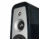 Напольная акустика Aperion Audio Grandis GR8T Blue Opal (пара)