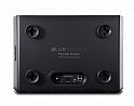 Активный беспроводной сабвуфер Bluesound PULSE SUB PLUS black