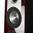 Напольная акустика Aperion Audio Grandis GR6T Rosewood Opal (пара)
