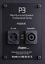 Настенная акустическая система Starke Sound P3