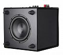Активный сабвуфер Aperion Audio Bravus II 12D Gloss Black