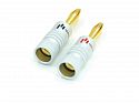 Набор коннекторов Aperion Audio Banana Plugs (10 шт)