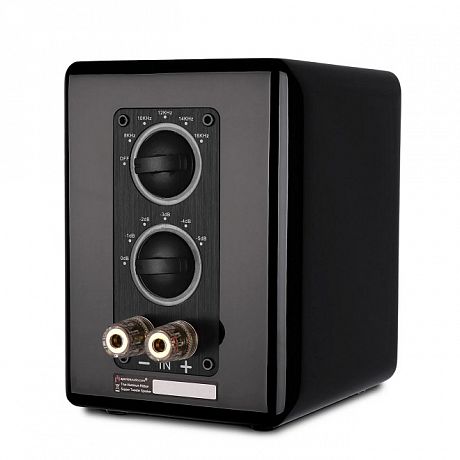Ленточный супертвитер Aperion Audio MKII Aluminum Ribbon Super Tweeter  Gloss Black (пара)