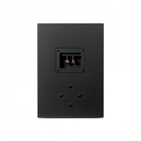 Настенно-потолочная акустика Aperion Audio Fons FC62 Stealth Black (пара)