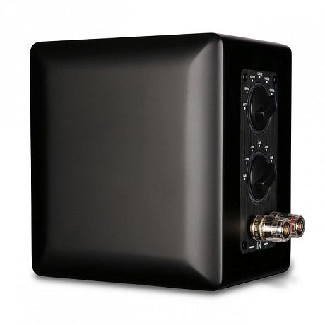 Ленточный супертвитер Aperion Audio MKII Aluminum Ribbon Super Tweeter Stealth Black (пара)