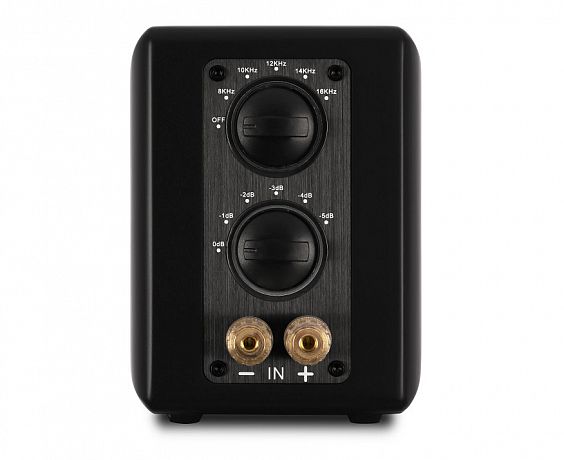 Ленточный супертвитер Aperion Audio Planar-Magnetic Ribbon Super Tweeter Stealth Black (пара)