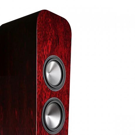 Напольная акустика Aperion Audio Grandis GR8F Rosewood Opal (пара)
