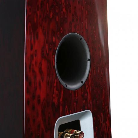 Напольная акустика Aperion Audio Grandis GR6T Rosewood Opal (пара)