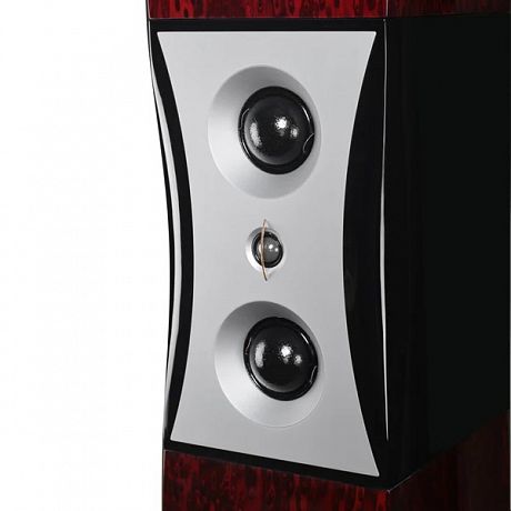 Напольная акустика Aperion Audio Grandis GR8F Rosewood Opal (пара)
