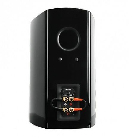 Полочная акустика Aperion Audio Verus III Grand V8B Gloss Black (пара)