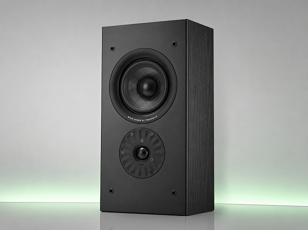 Настенная акустика Starke Sound Brio Beta5W Oak Ebony Black