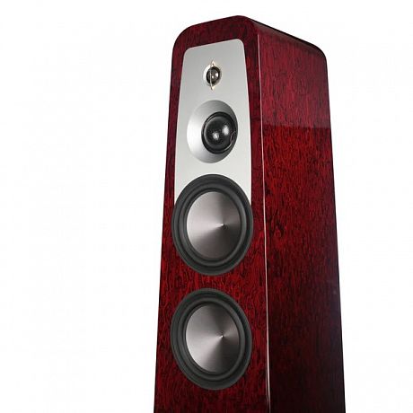 Напольная акустика Aperion Audio Grandis GR8T Rosewood Opal (пара)