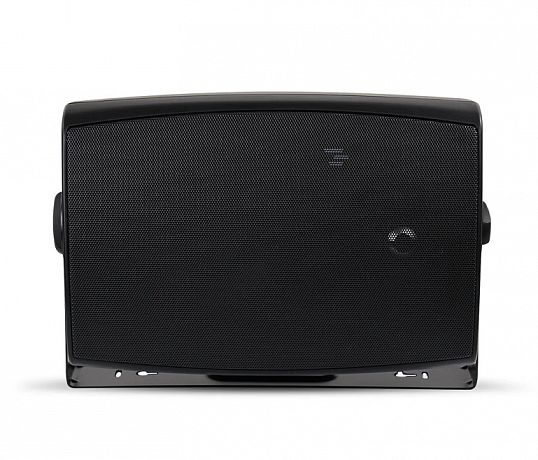 Всепогодная акустика Aperion Audio Clearus C6OD Outdoor/Indoor (пара)