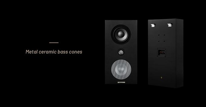 Настенная акустика Starke Sound VS62 Matte Black