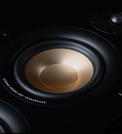 Настенная акустика Starke Sound VS74 Matte Black