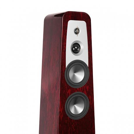 Напольная акустика Aperion Audio Grandis GR6T Rosewood Opal (пара)