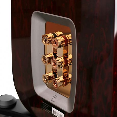 Напольная акустика Aperion Audio Grandis GR6T Rosewood Opal (пара)