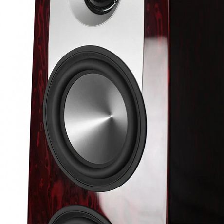 Напольная акустика Aperion Audio Grandis GR6T Rosewood Opal (пара)