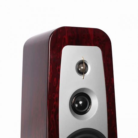Напольная акустика Aperion Audio Grandis GR6T Rosewood Opal (пара)