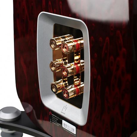 Напольная акустика Aperion Audio Grandis GR6T Rosewood Opal (пара)