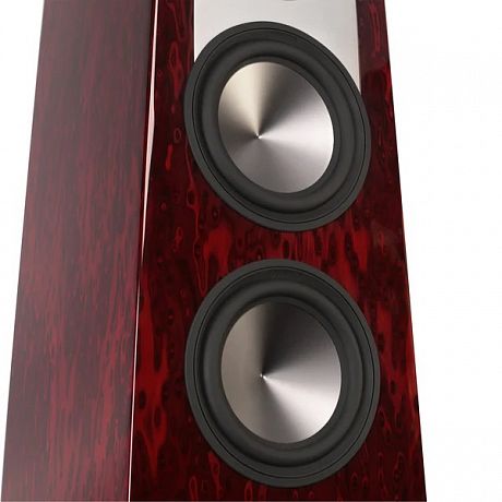 Напольная акустика Aperion Audio Grandis GR6T Rosewood Opal (пара)
