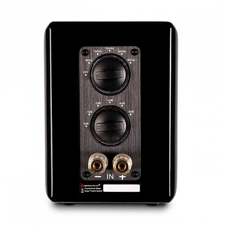 Ленточный супертвитер Aperion Audio MKII Aluminum Ribbon Super Tweeter  Gloss Black (пара)
