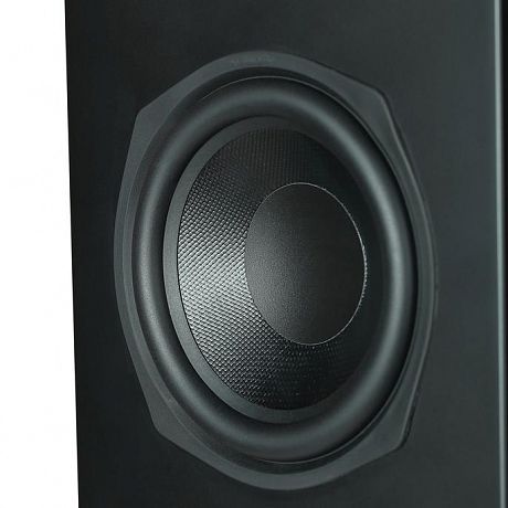 Напольная акустика Aperion Audio Novus N6T Stealth Black (пара)