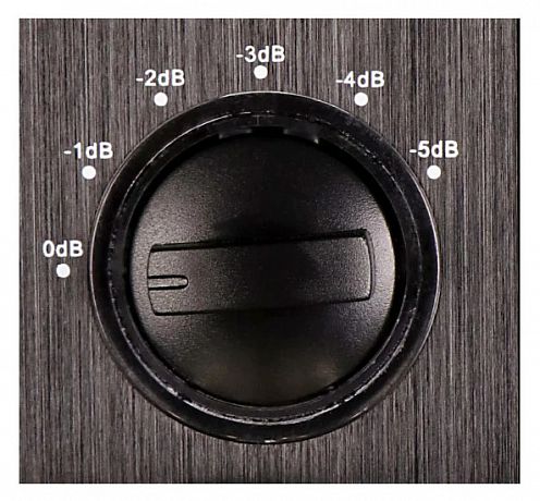 Ленточный супертвитер  Aperion Audio Planar-Magnetic Ribbon Super Tweeter Gloss Black (пара)