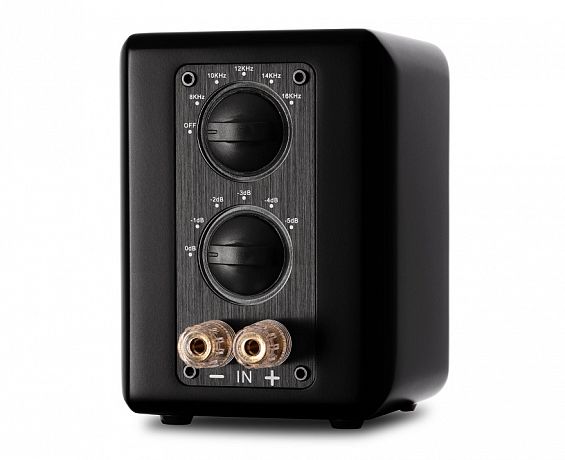 Ленточный супертвитер  Aperion Audio Planar-Magnetic Ribbon Super Tweeter Gloss Black (пара)