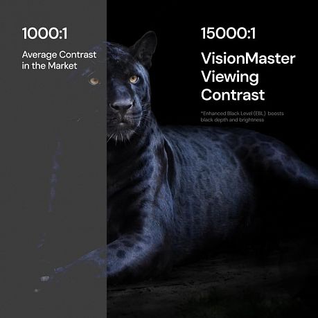 Лазерный проектор Valerion VisionMaster Pro 2