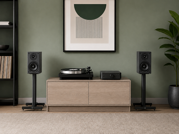 Полочная акустика Starke Sound Brio Beta5 Oak Ebony Black (пара)