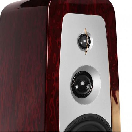 Напольная акустика Aperion Audio Grandis GR6T Rosewood Opal (пара)