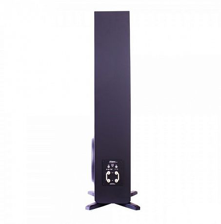 Напольная акустика Starke Sound IC-H5 ELITE Piano Lacquer Black (пара)