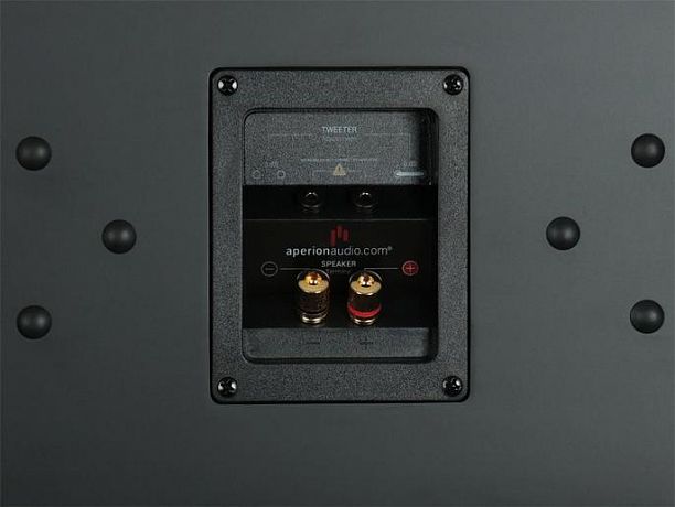 Настенная акустика Aperion Audio Novus Slim N6SC LCR Gloss Black