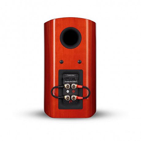 Полочная акустика Aperion Audio Verus III Grand V5B Gloss Black (пара)