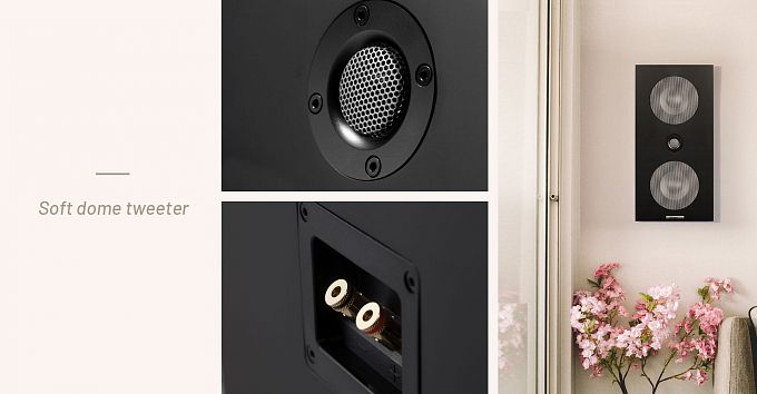 Настенная акустика Starke Sound VS62 Matte Black