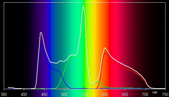 Spectrum ЦВЕТ2