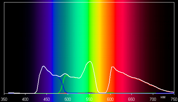 Spectrum