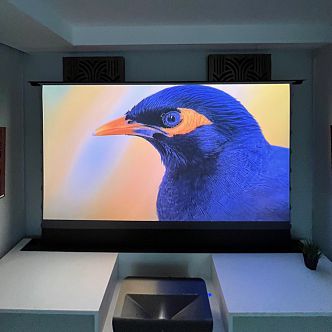 Моторизованный напольный ALR экран Global Screen OFM-100 124*221 Black Code UST 0.5